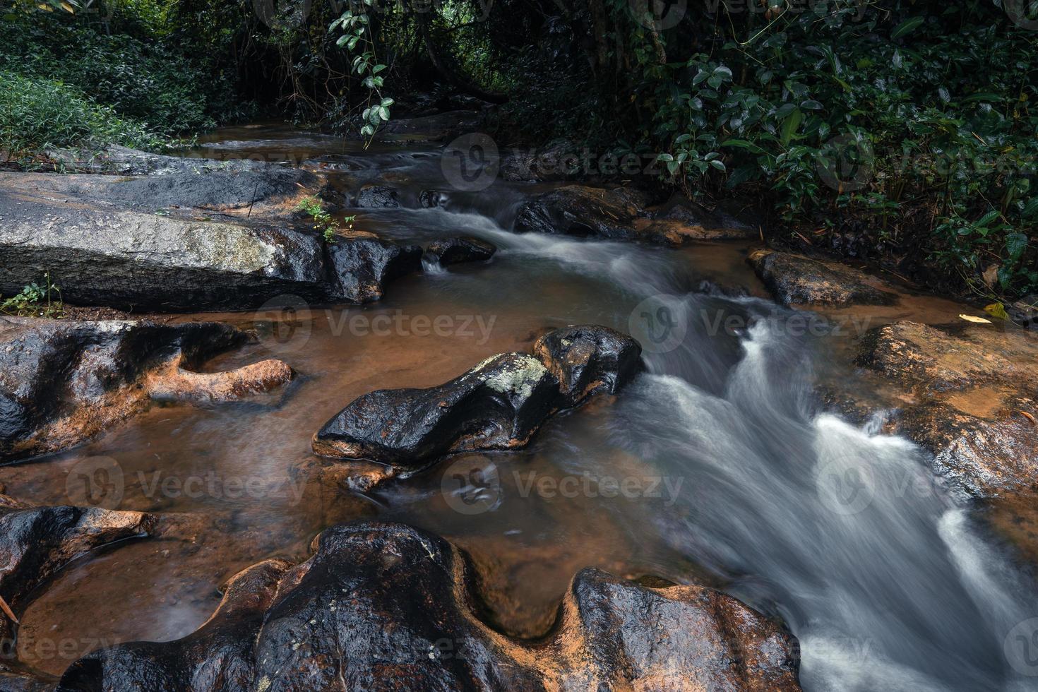 ruscello dopo la pioggia nella foresta tropicale foto