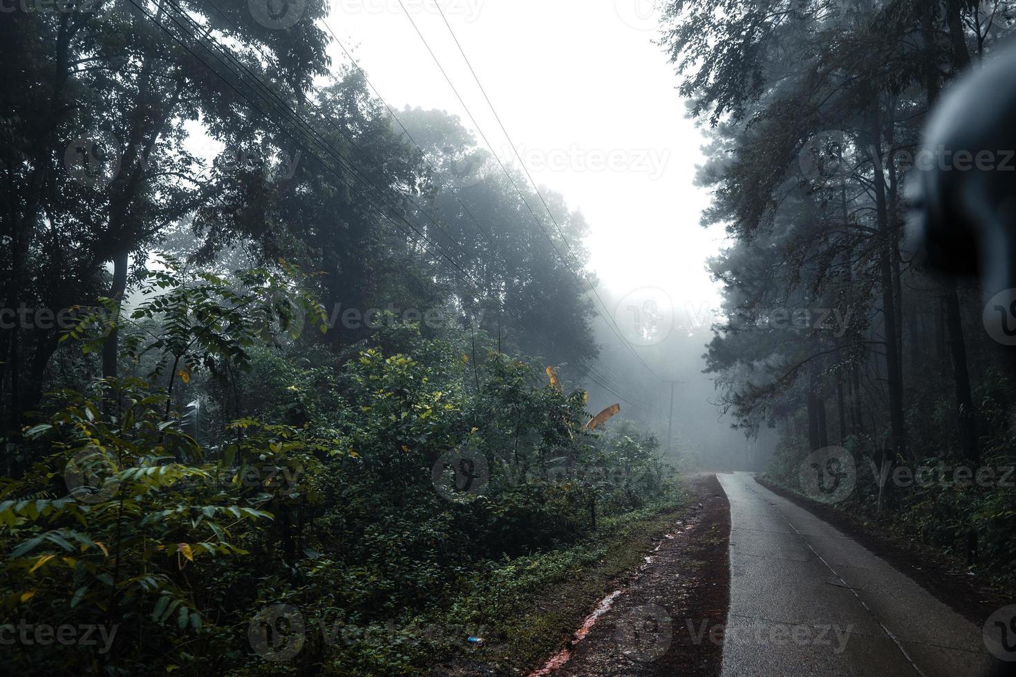 strada in una foresta tropicale, la strada nella foresta umida tropicale foto