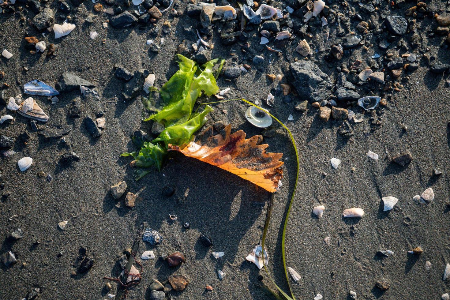 sfondo naturale con spiaggia sabbiosa e scogli foto