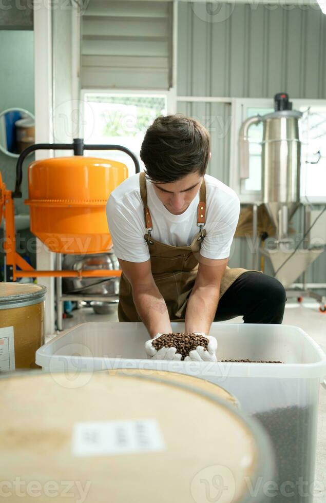 giovane uomo nel grembiule Lavorando con arrosto caffè, controllo il fagioli caffè arrostito foto