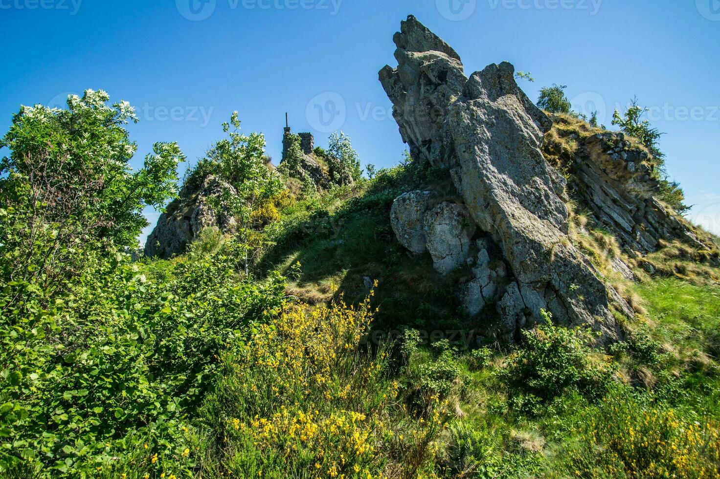 un' roccioso collina con alberi e cespugli foto