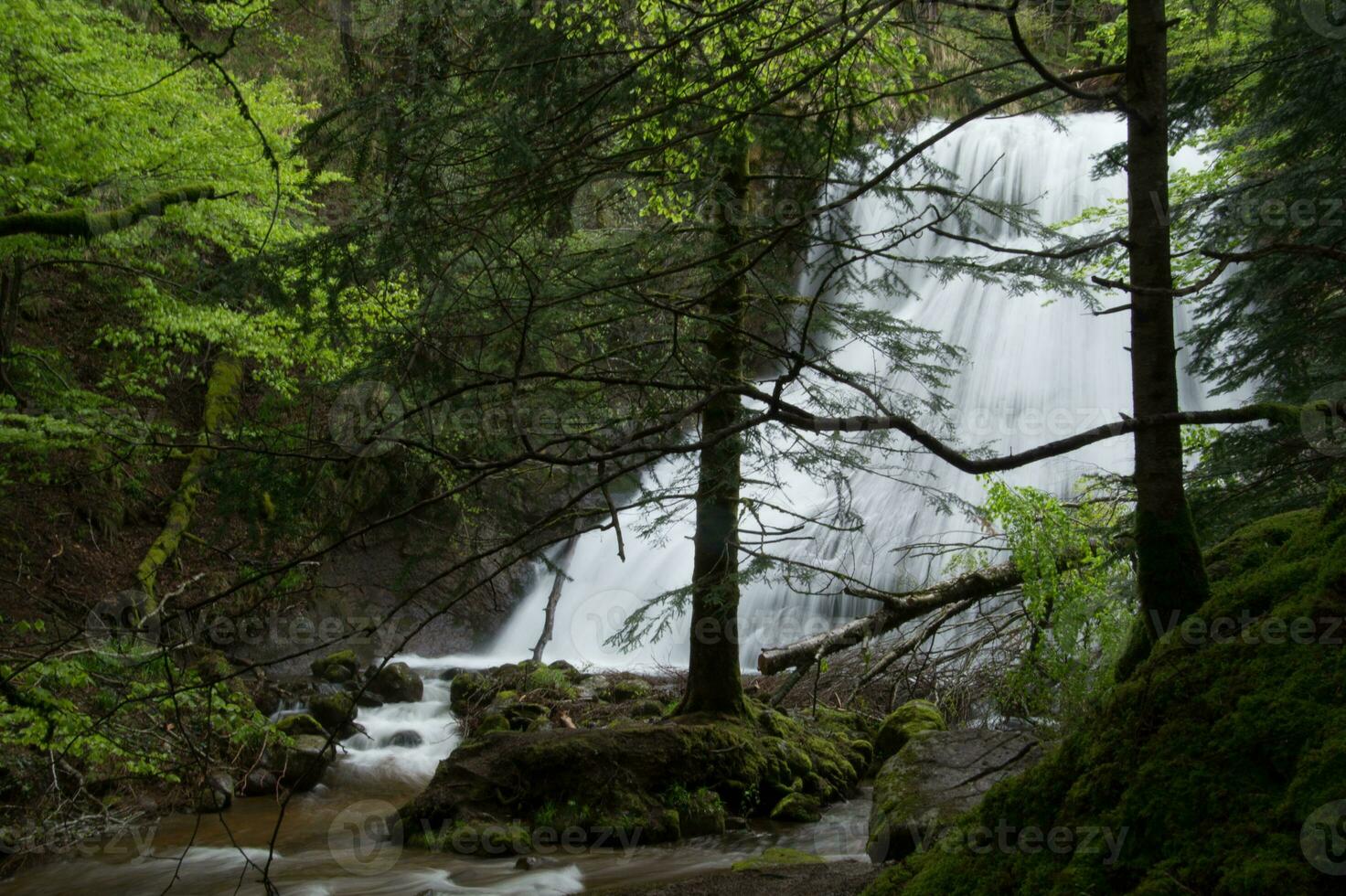 naturale parco di alvernia vulcani foto