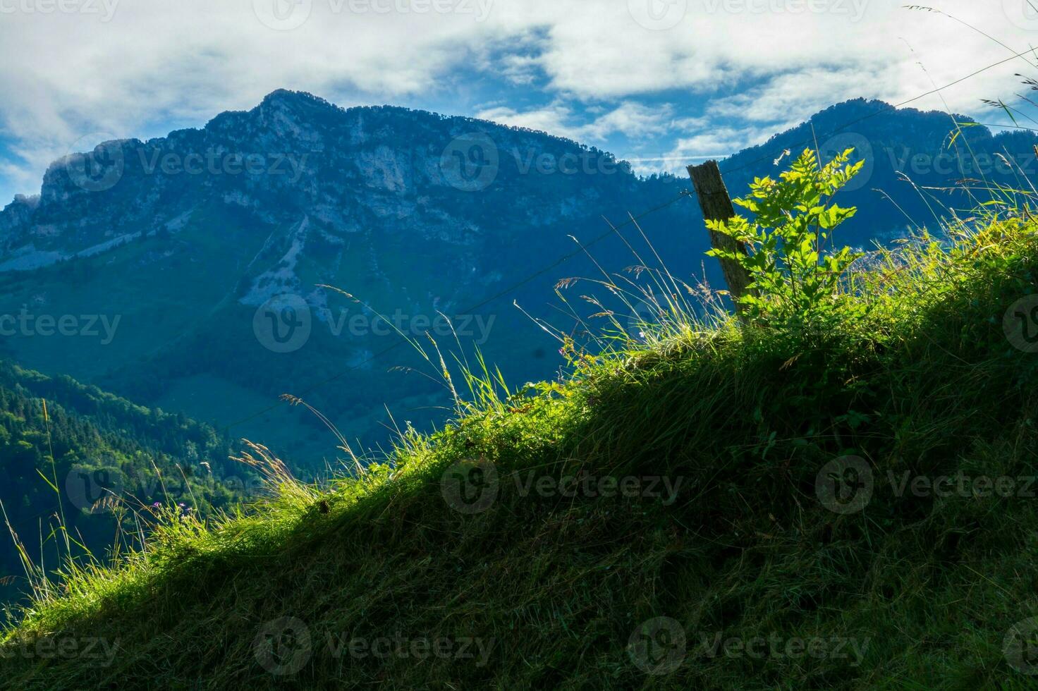 regionale naturale parco di bauges foto