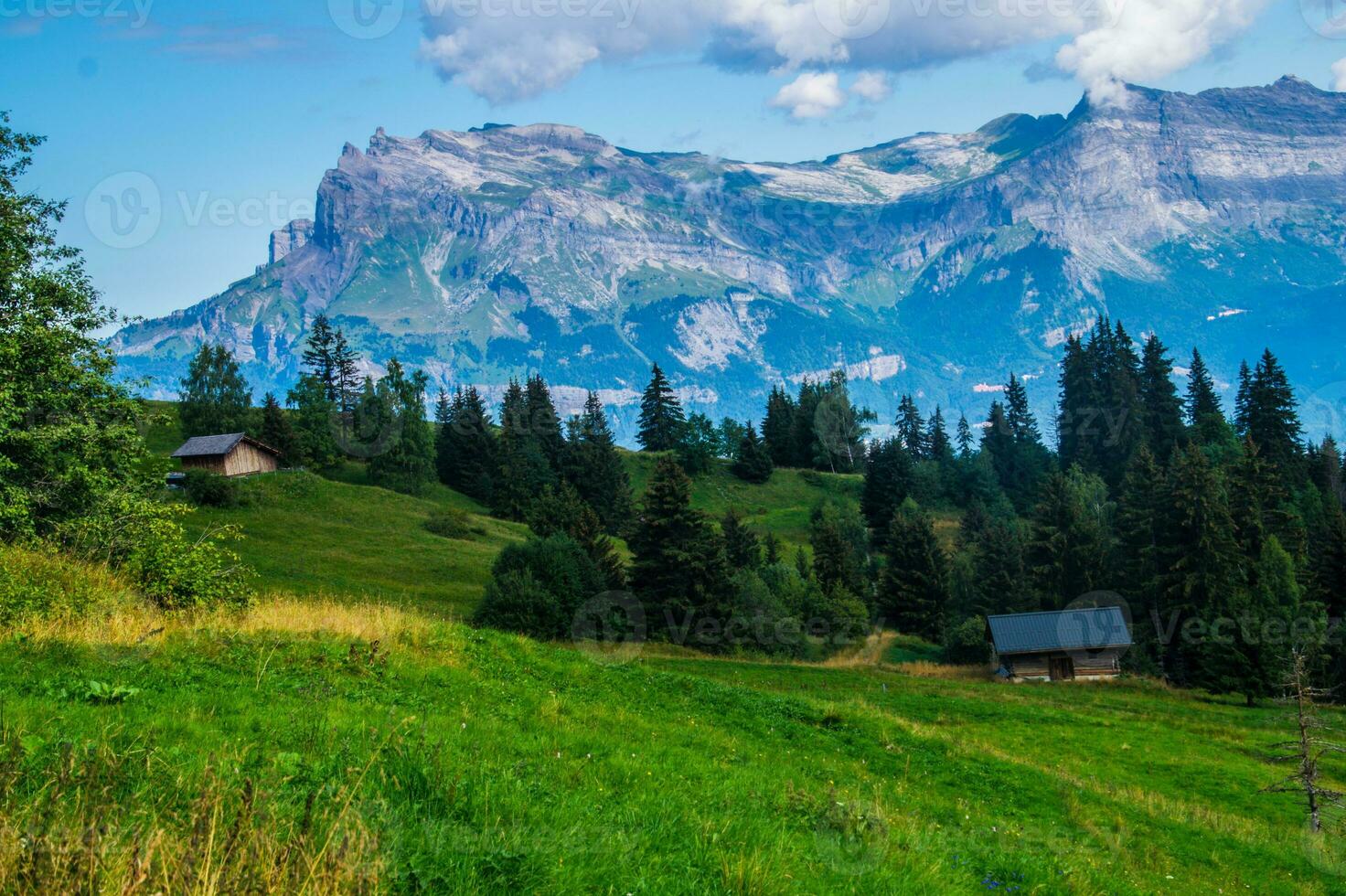 di legno passerella nel il montagne foto