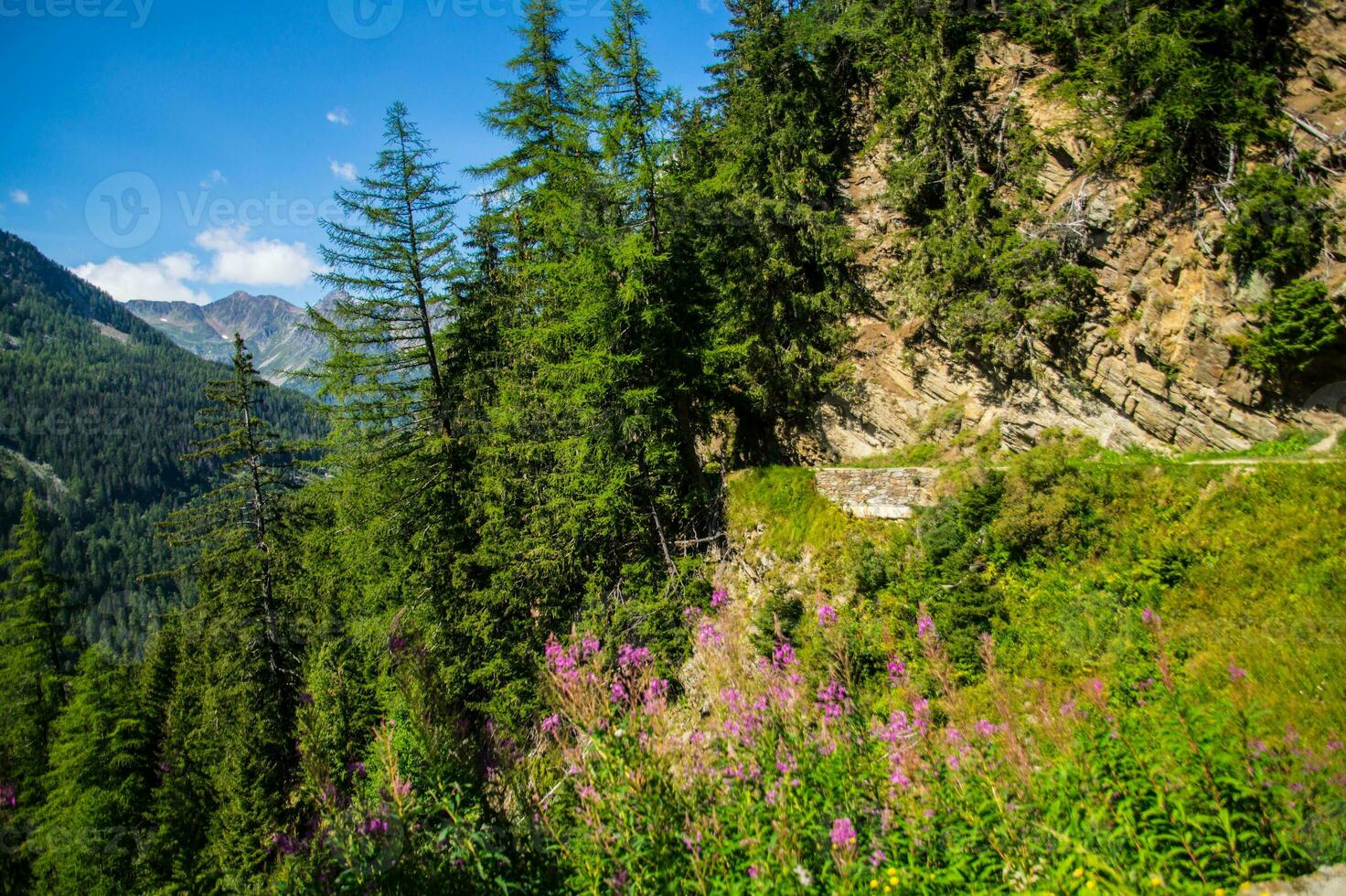 di legno passerella nel il montagne foto