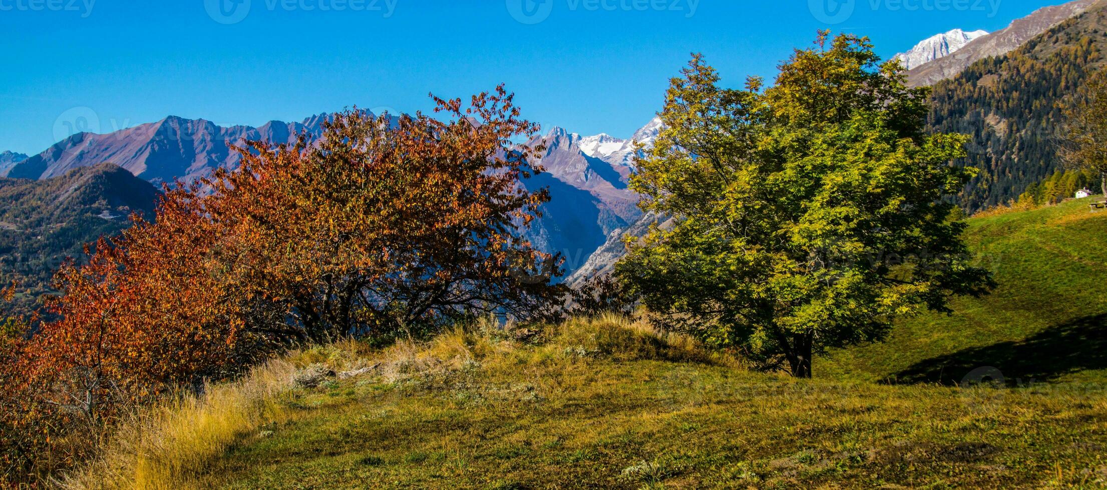 autunno nel il Alpi, Italia foto