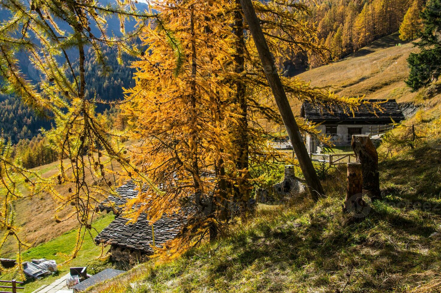 paysage des alpes suisse it automne foto