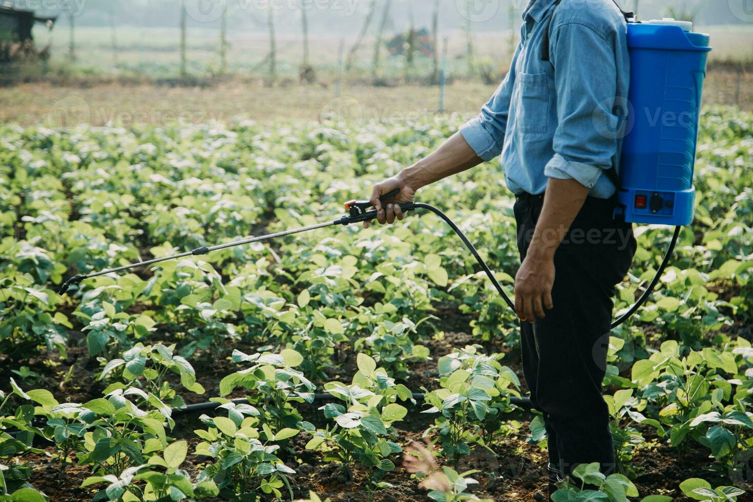 agricoltore utilizzare il nucleo dati Rete nel il Internet a partire dal il mobile per convalidare, test, e Selezionare il nuovo Ritaglia metodo. giovane agricoltori e tabacco agricoltura foto