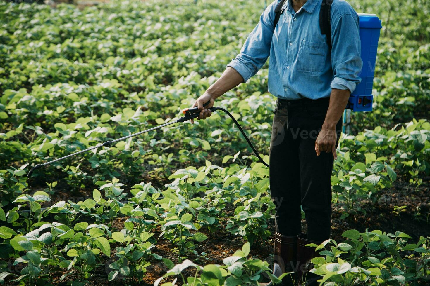 agricoltore utilizzare il nucleo dati Rete nel il Internet a partire dal il mobile per convalidare, test, e Selezionare il nuovo Ritaglia metodo. giovane agricoltori e tabacco agricoltura foto