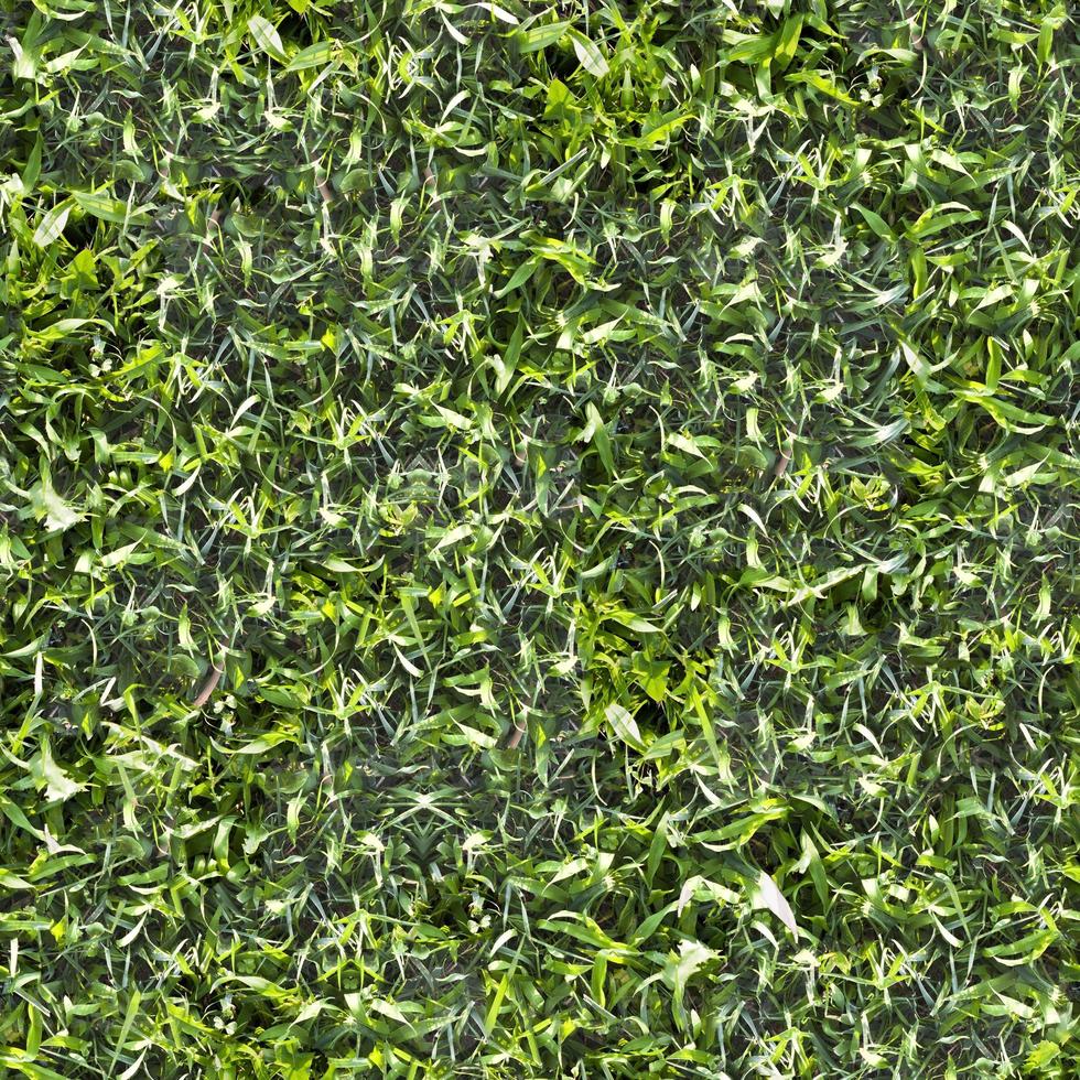 trama a terra erba verde senza soluzione di continuità foto