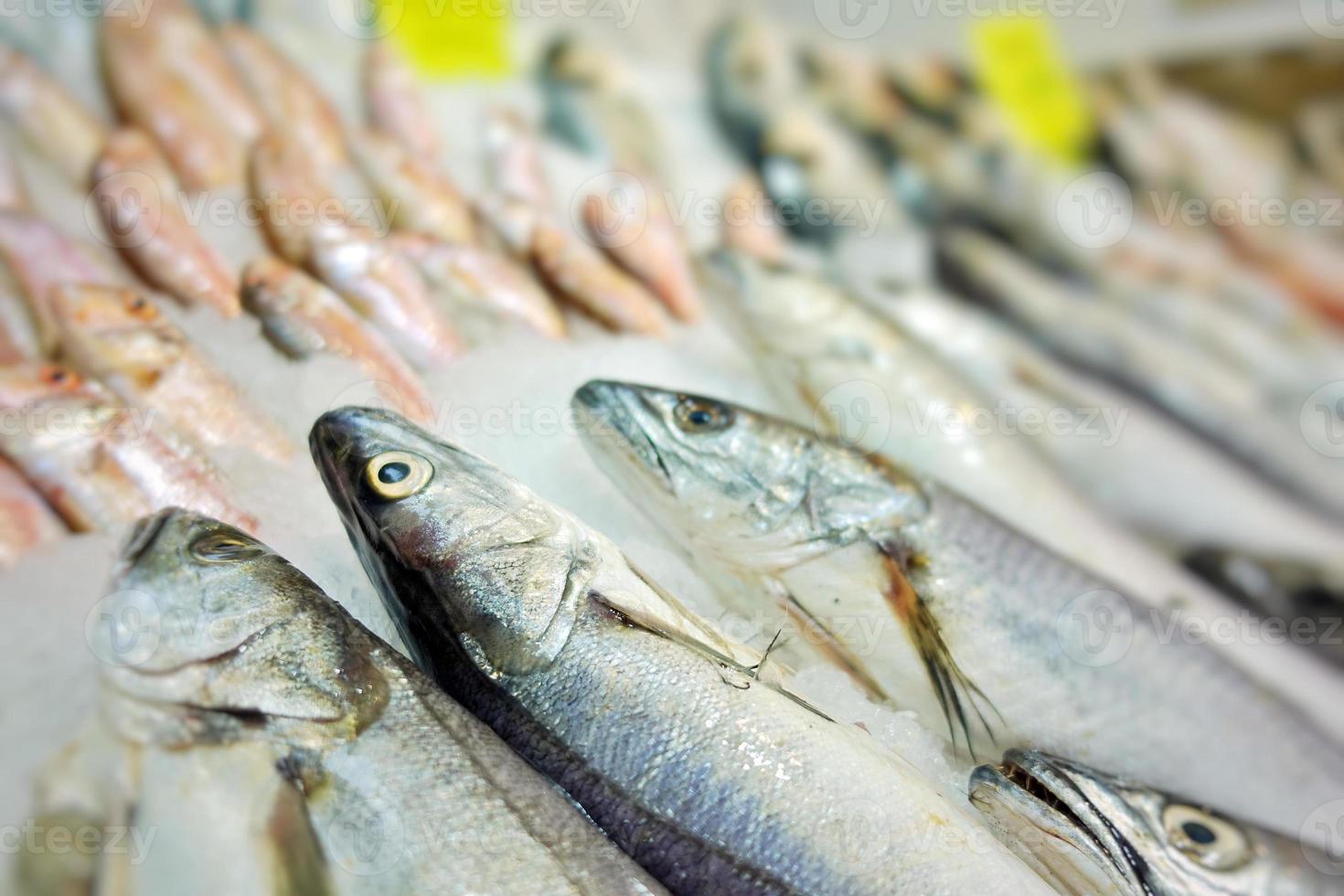 cibo per pesci in una bancarella del mercato del pesce foto