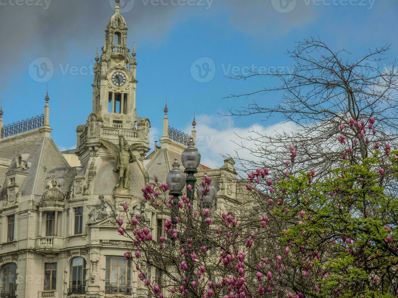 la città di porto foto