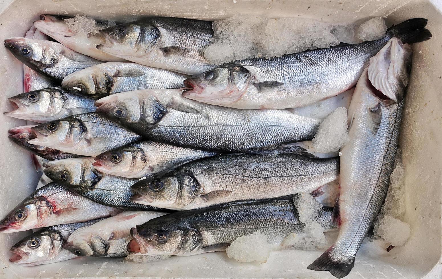 cibo per pesci in una bancarella del mercato del pesce foto