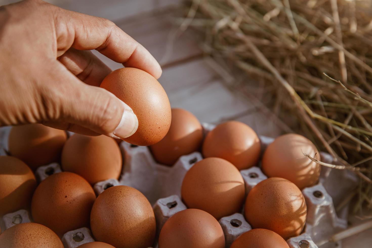 la mano tiene l'uovo nella mano raccolta dalla fattoria. foto