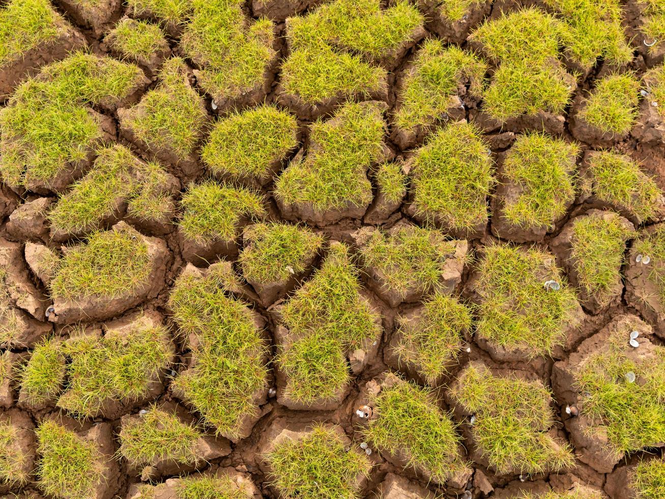 la terra con il terreno arido e il riscaldamento globale coperto d'erba foto