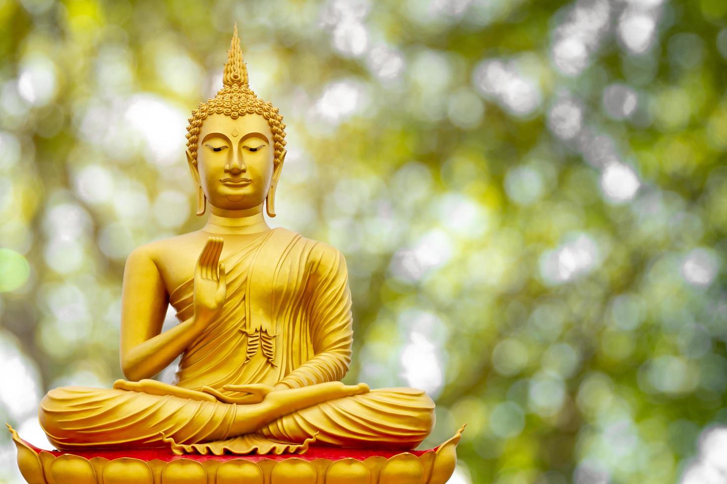 immagine dorata del buddha sotto la foglia della bodhi, sfondo naturale foto