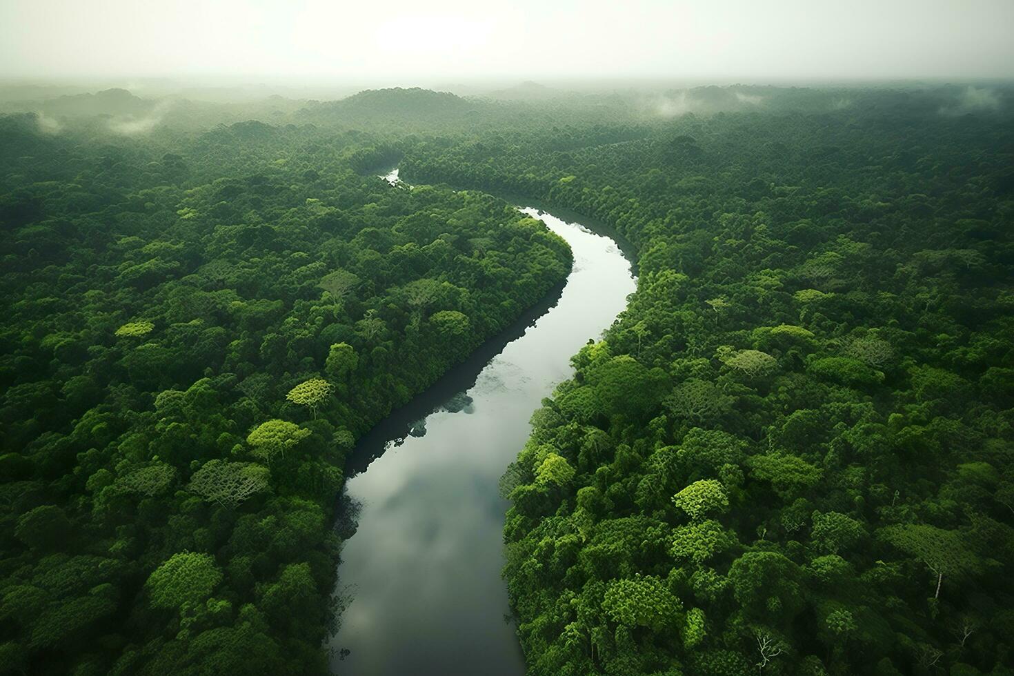 aereo Visualizza di il Amazonas giungla paesaggio con fiume piegare. generativo ai foto