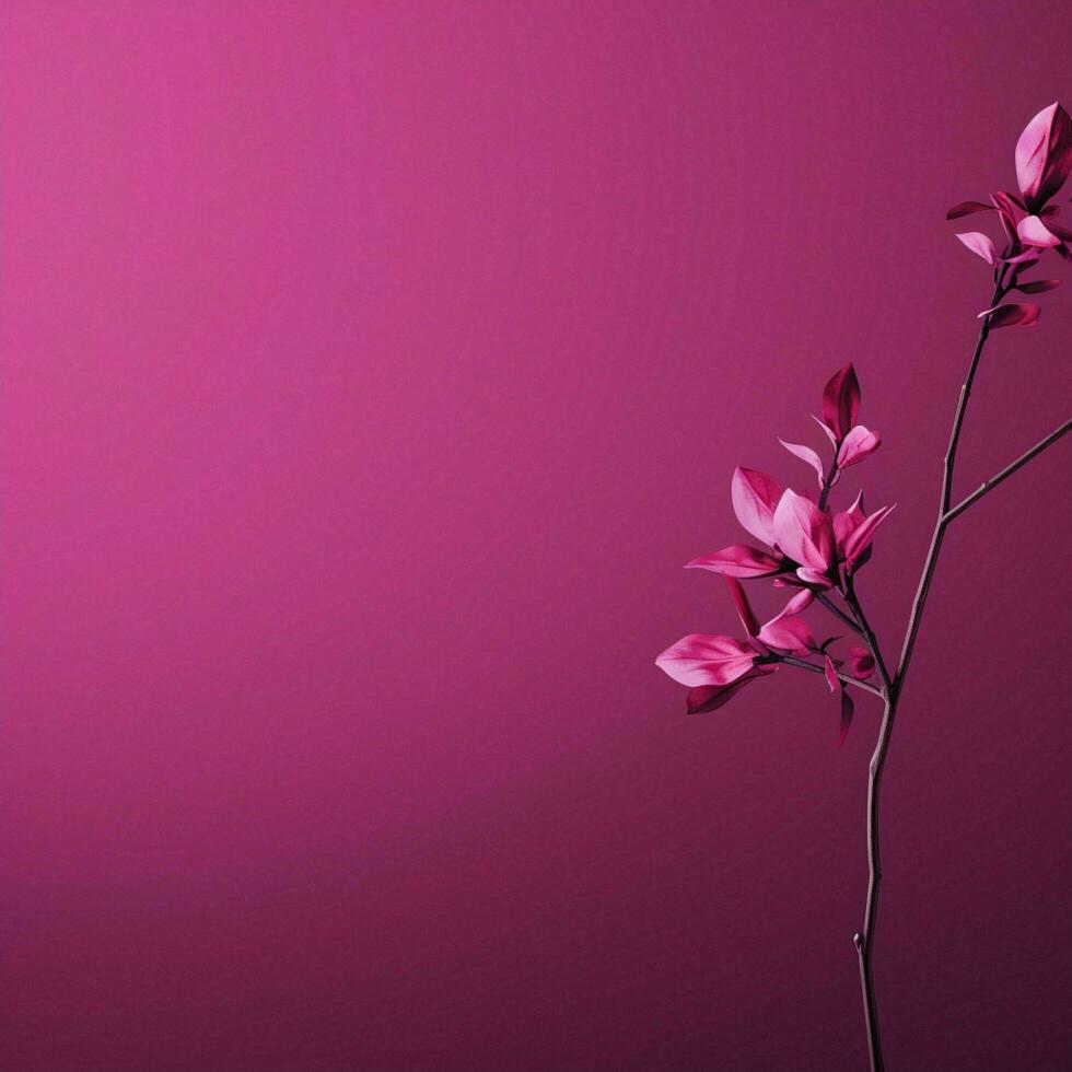 fucsia minimalista sfondo foto