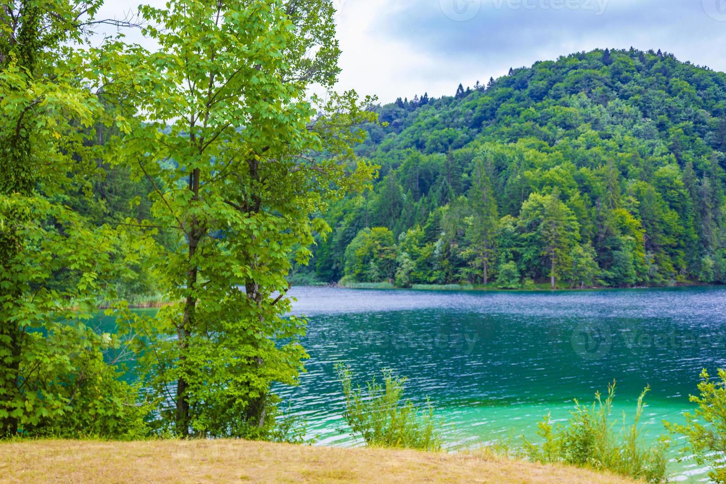 il parco nazionale dei laghi di plitvice paesaggio acqua turchese in croazia. foto