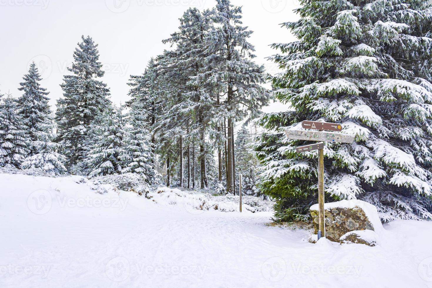 paesaggio forestale invernale nella montagna Brocken, Harz, Germania foto
