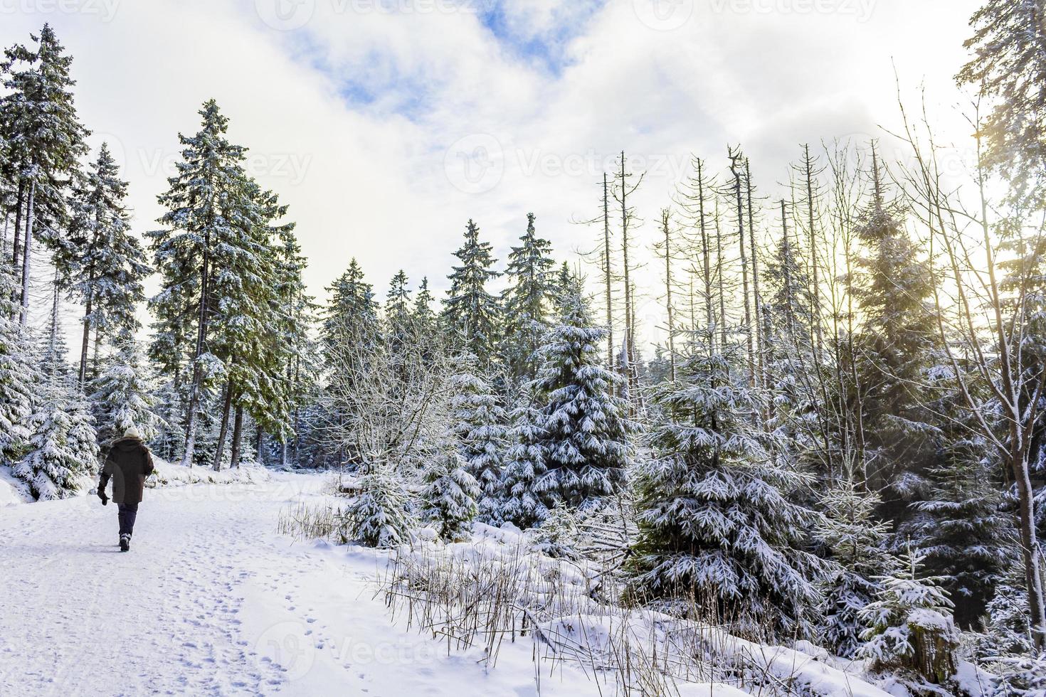 escursionisti persone in nevicato nel paesaggio montagne brocken harz germania. foto