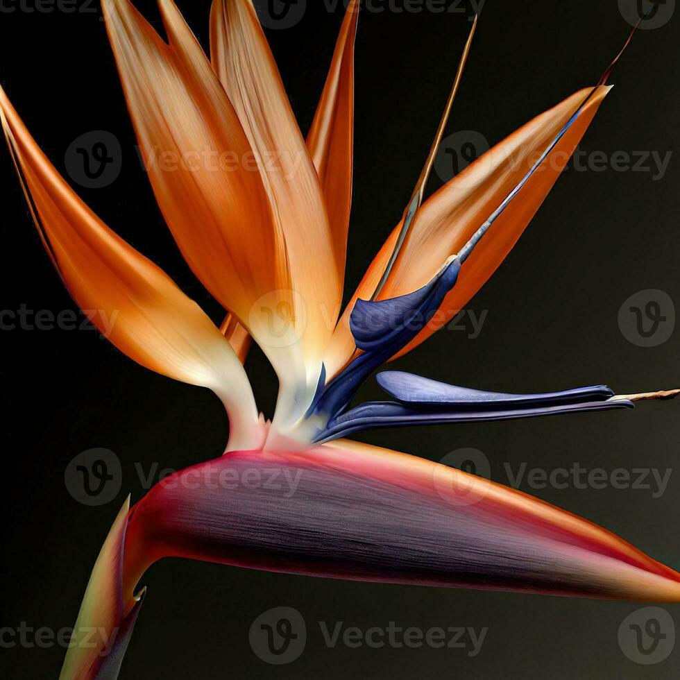 il uccello di Paradiso ostenta suo squisito colori e intricato modelli ,ai generato foto