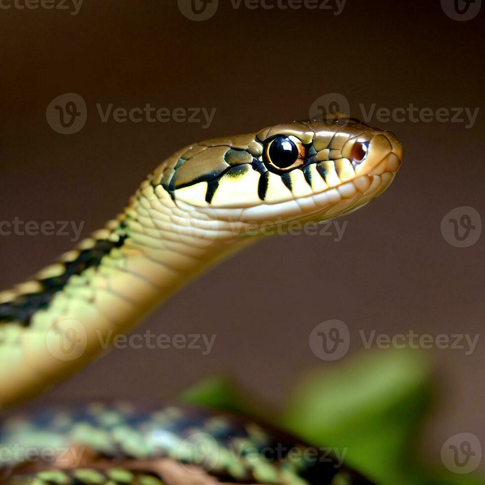 un' avvicinamento Visualizza di il Texas giarrettiera serpente rivela suo delicato ancora travolgente colori ,ai generato foto