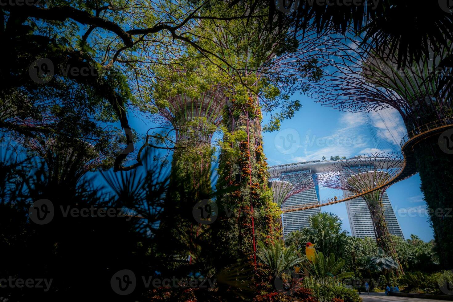 supertree boschetto e marina baia sabbie edificio nel Singapore foto