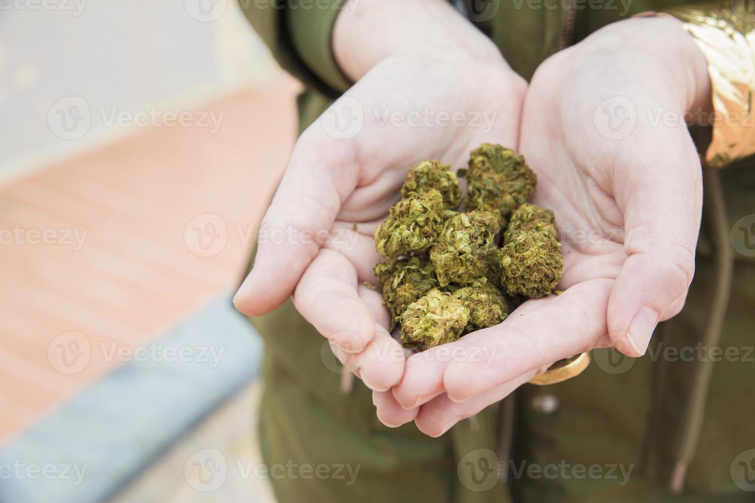 le mani tengono i fiori di marijuana foto