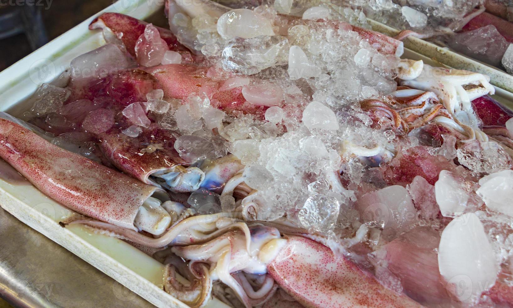 frutti di mare crudi tailandesi a koh samui, thailandia foto