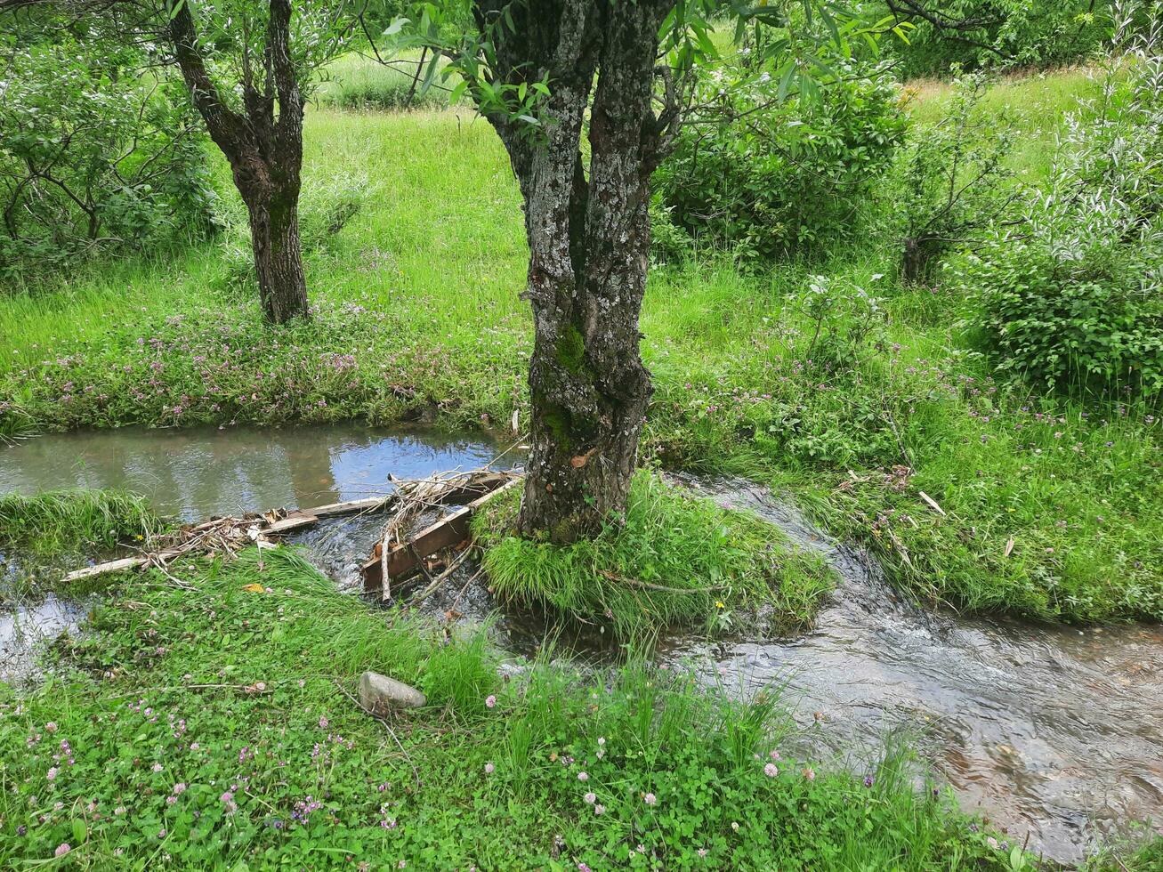 panoramico Visualizza di il naturale bellezza di tao culo, neelum valle, kashmir. tao culo è famoso per suo lussureggiante verde alberi e naturale bellezza. foto