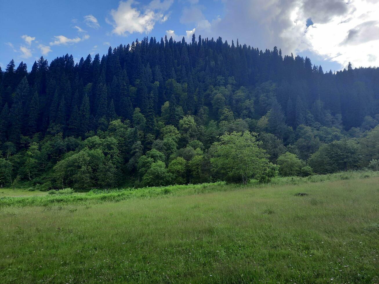 panoramico Visualizza di il naturale bellezza di tao culo, neelum valle, kashmir. tao culo è famoso per suo lussureggiante verde alberi e naturale bellezza. foto