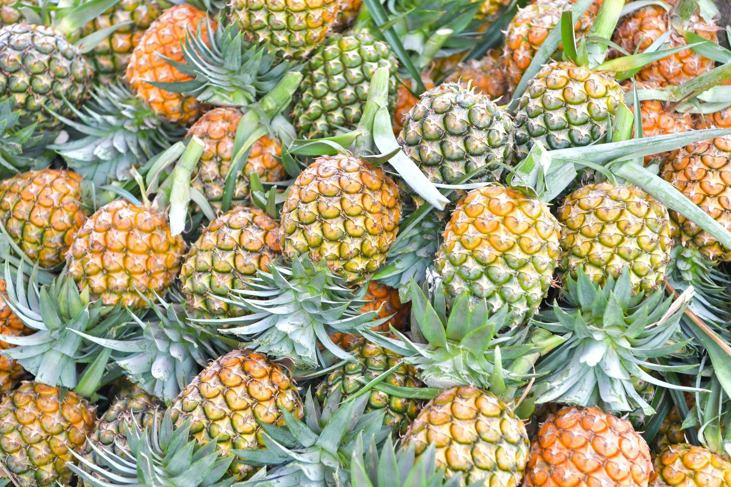 ananas nel mercato, bangkok, thailandia foto