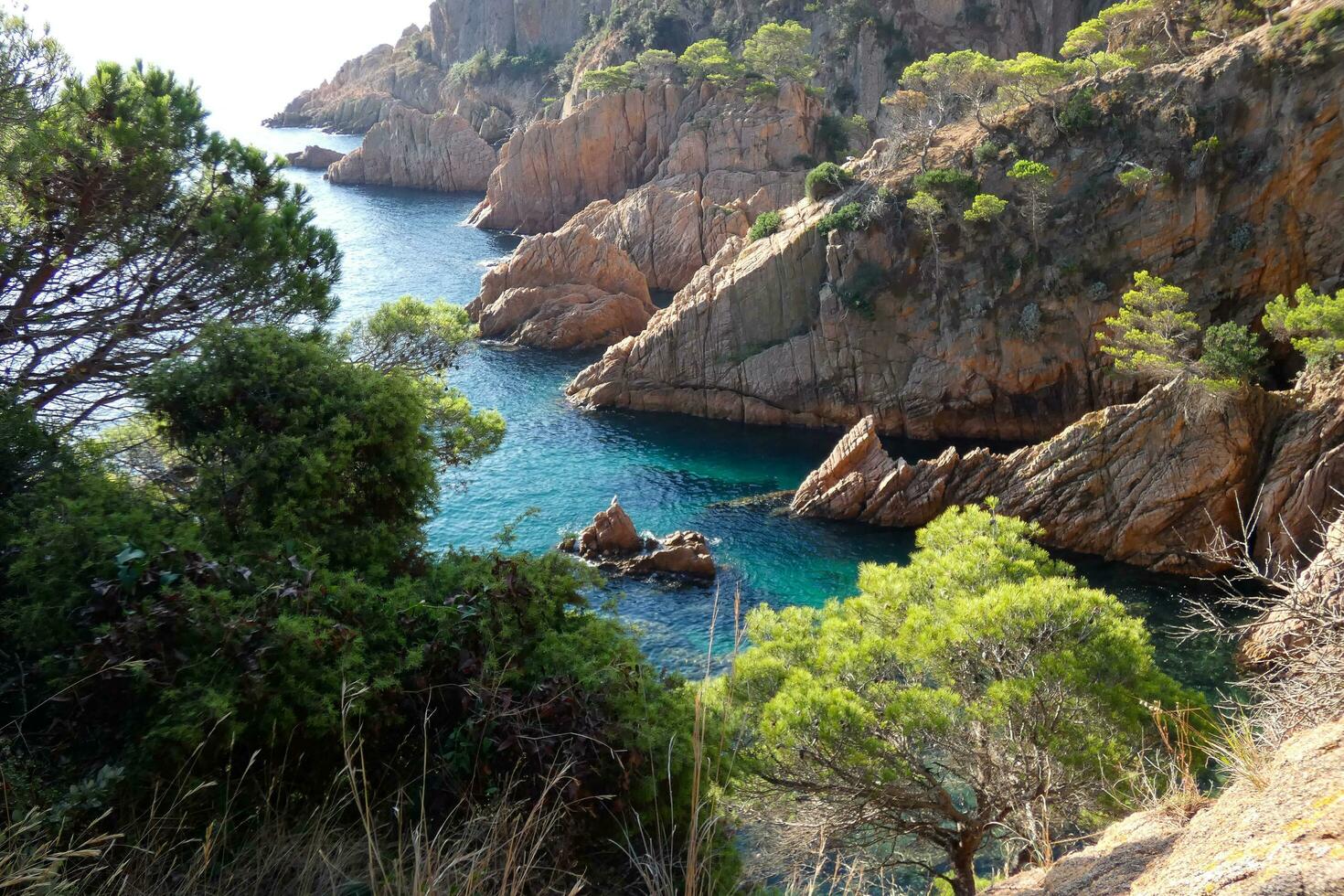 costa brava e costiero sentiero lungo il aspro costa di settentrionale catalogna, Spagna foto