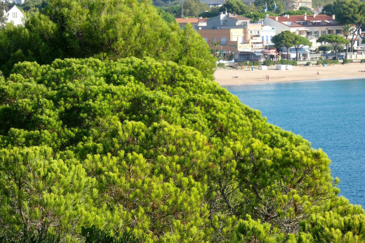 costa brava e costiero sentiero lungo il aspro costa di settentrionale catalogna, Spagna foto