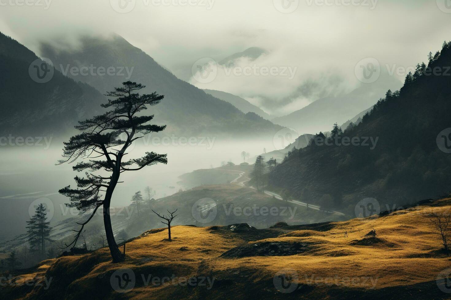 spaventoso autunno montagne coperto nel nebbia, la creazione di un' misterioso e misterioso atmosfera. generativo ai foto