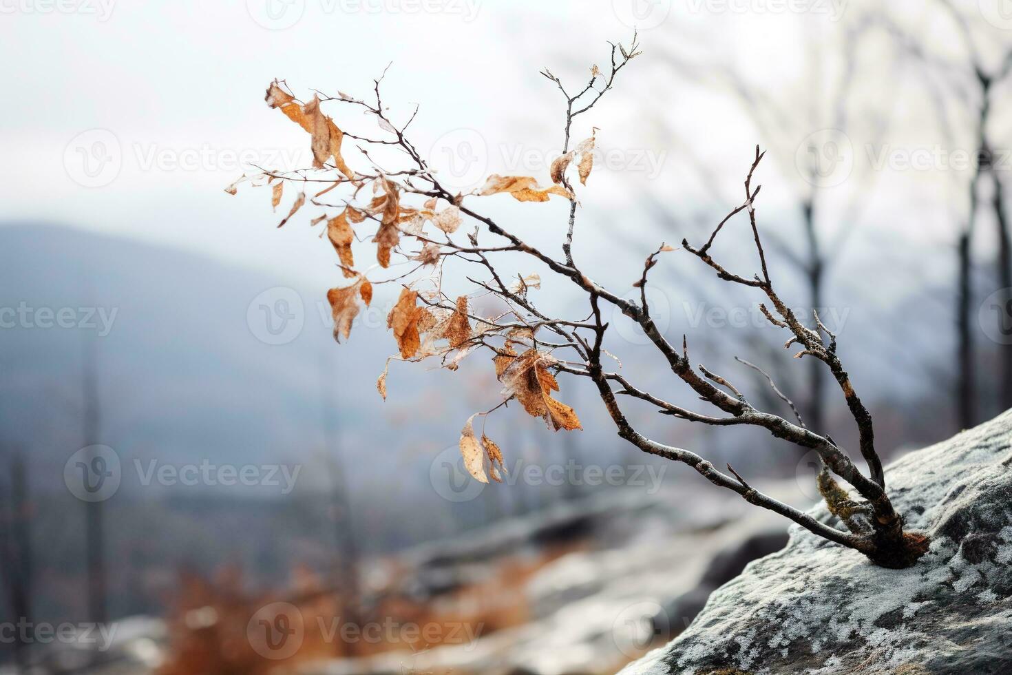 dolce montagna foresta brezza, nevoso cielo sfondo, ondeggiante inverno impianti, e sereno rami nel un' tranquillo naturale scena. generativo ai foto