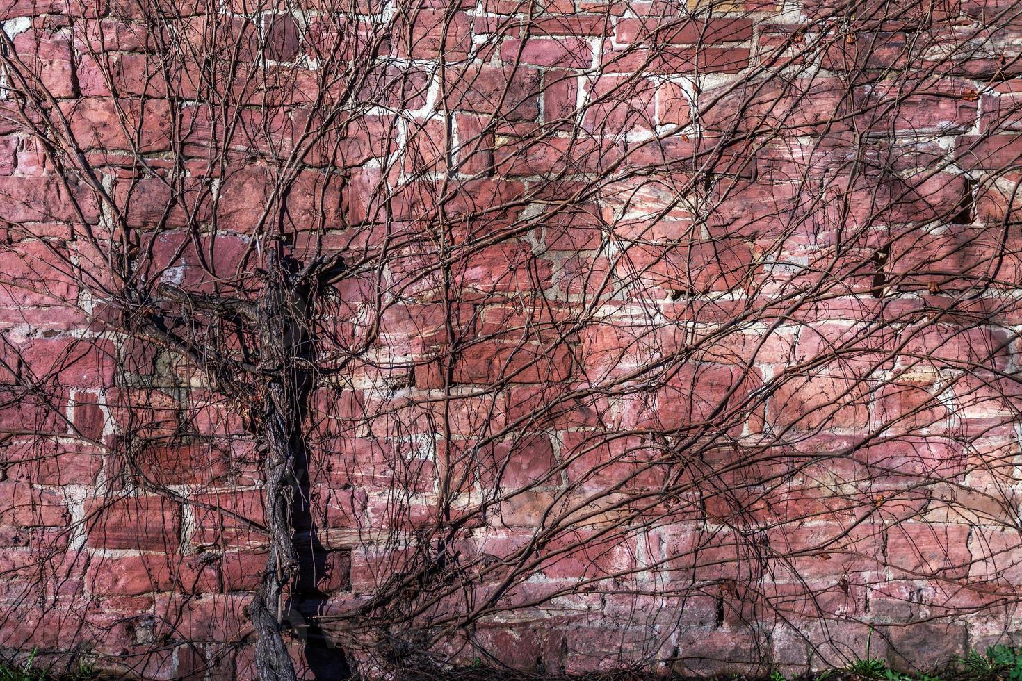 struttura del fondo del muro di mattoni di pietra del grunge foto