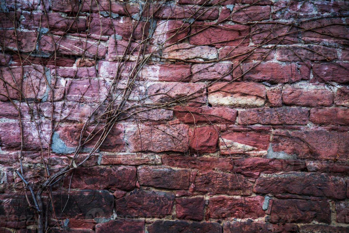 struttura del fondo del muro di mattoni di pietra del grunge foto