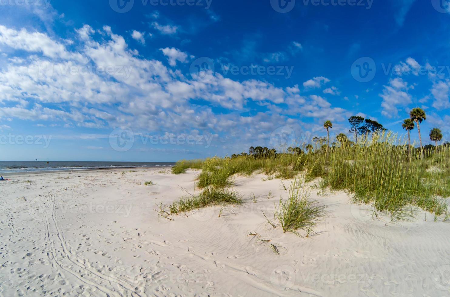 scene di spiaggia a Hunting Island South Carolina foto