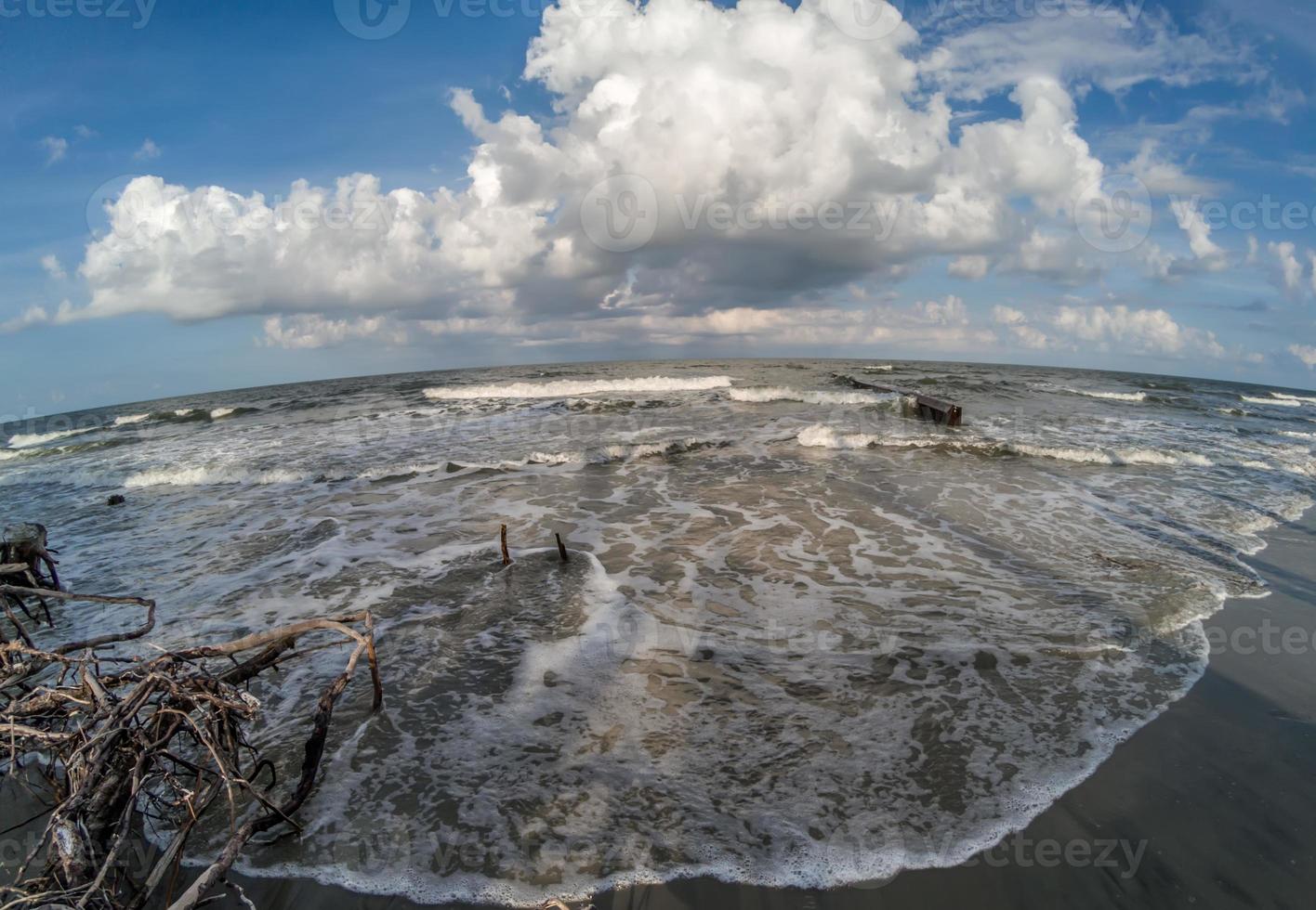 scene di spiaggia a Hunting Island South Carolina foto