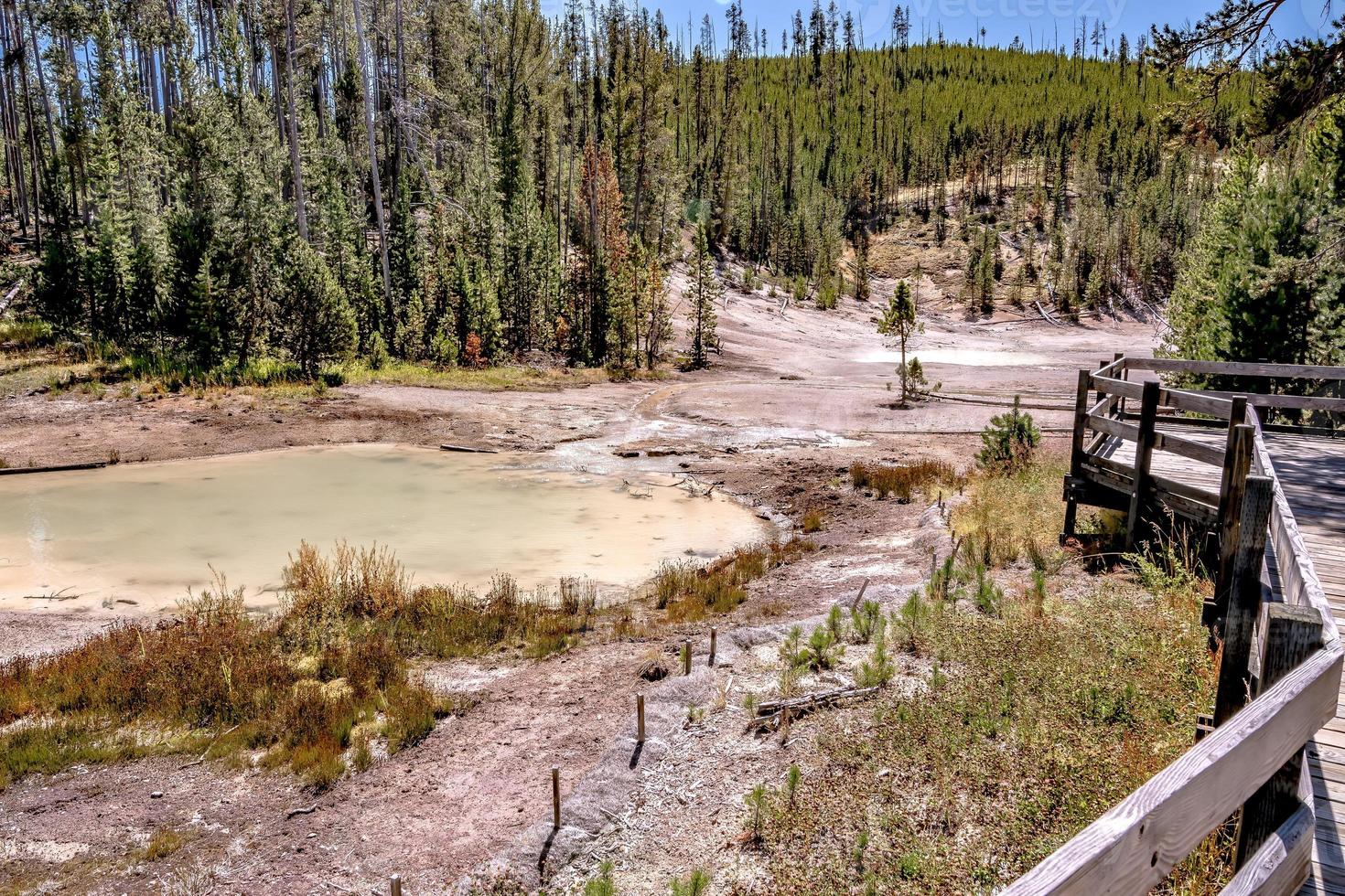 splendido scenario al mammut hot spring a Yellowstone foto