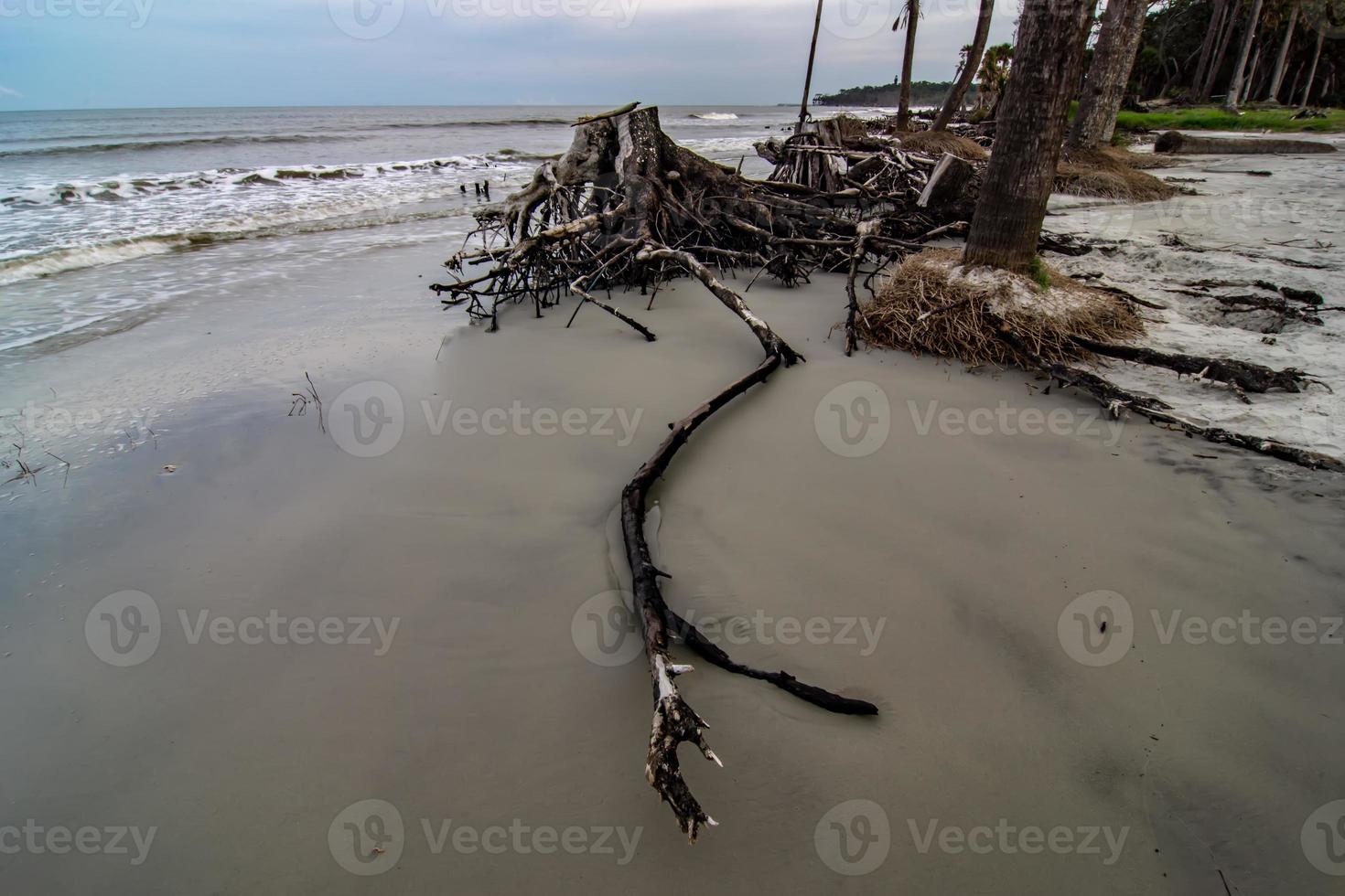 scene della spiaggia della Carolina del sud dell'isola di caccia foto