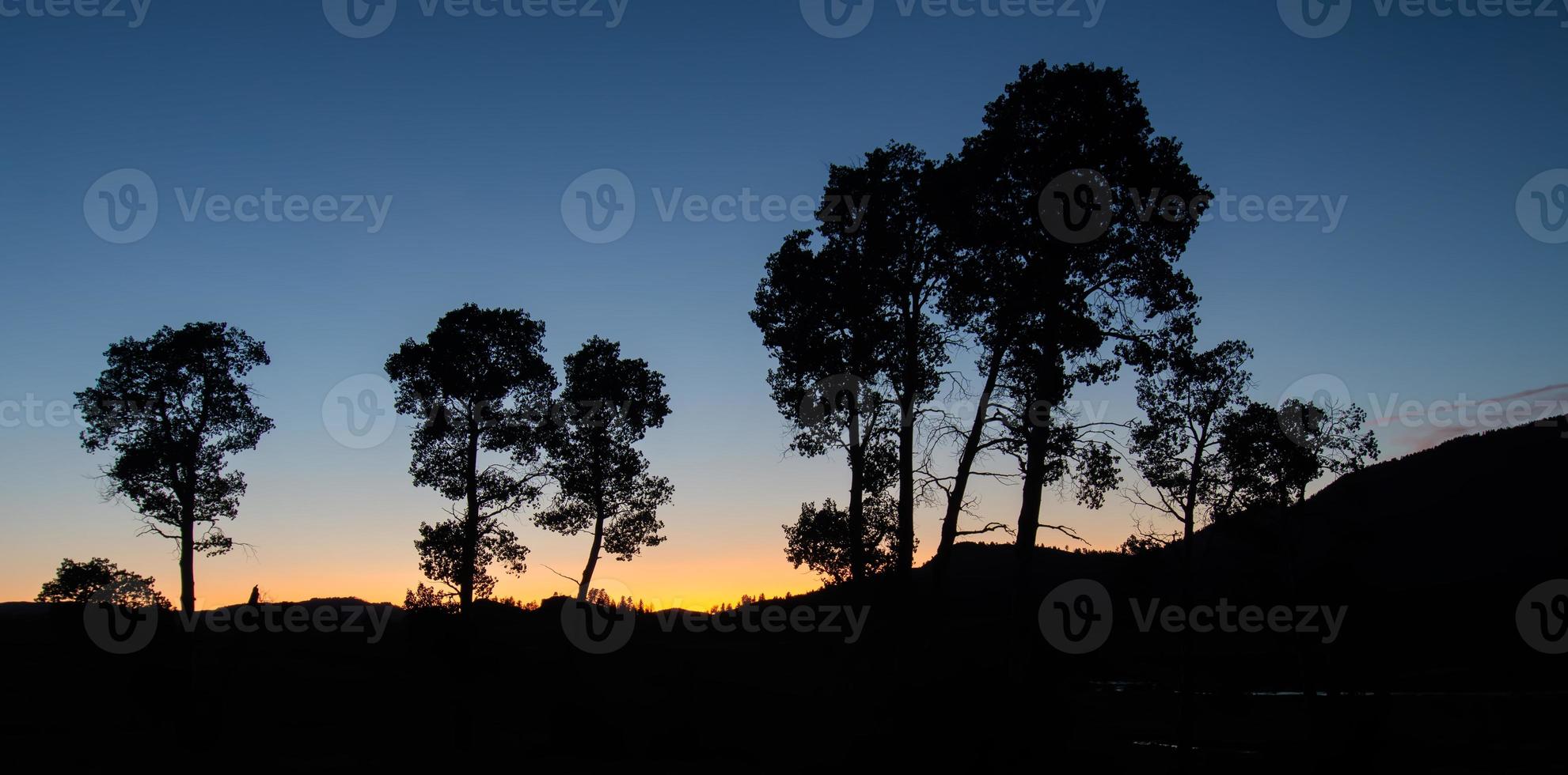 scene intorno a Hayden Valley a Yellowstone foto