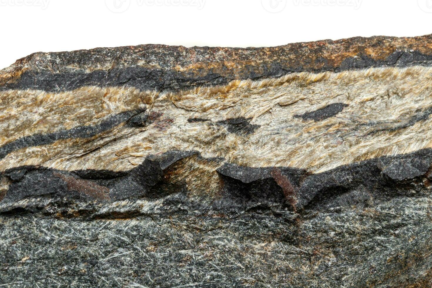 macro minerale pietra serpente occhio nel il roccia un' bianca sfondo foto