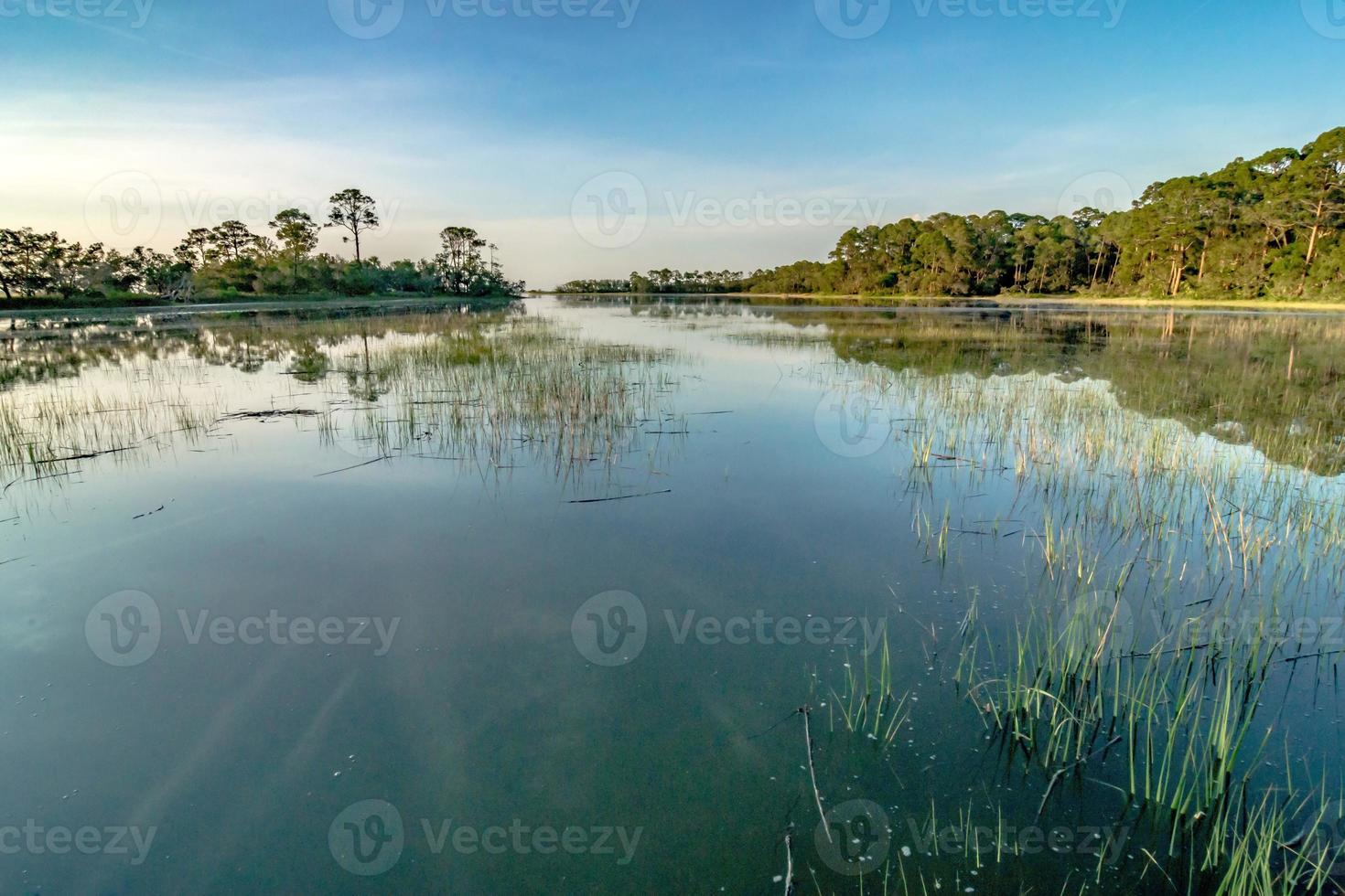 scene della spiaggia della Carolina del sud dell'isola di caccia foto