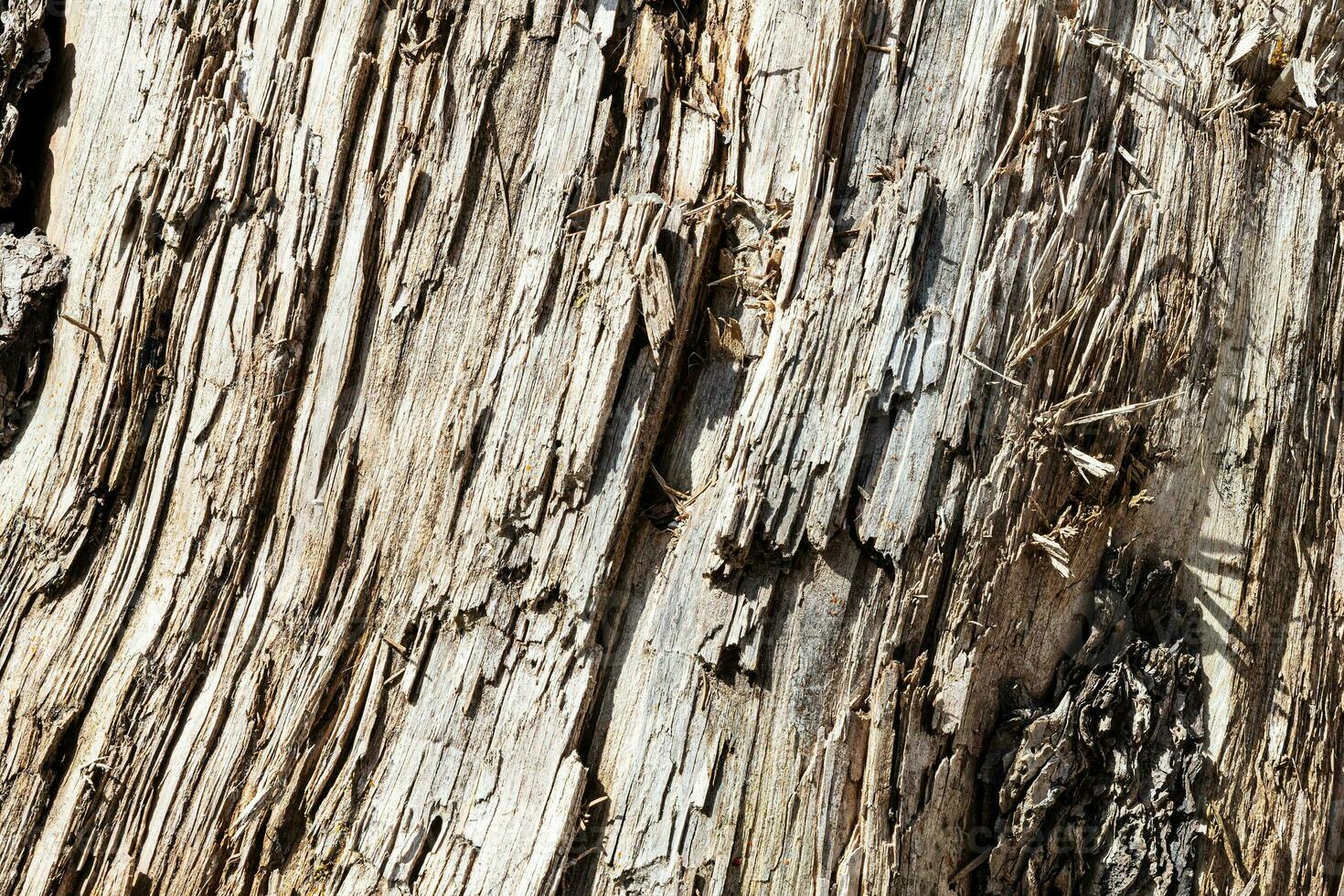 struttura astratta di legno. sfondo grunge di superficie. motivo effetto legno sporco. sfondo materiale. foto