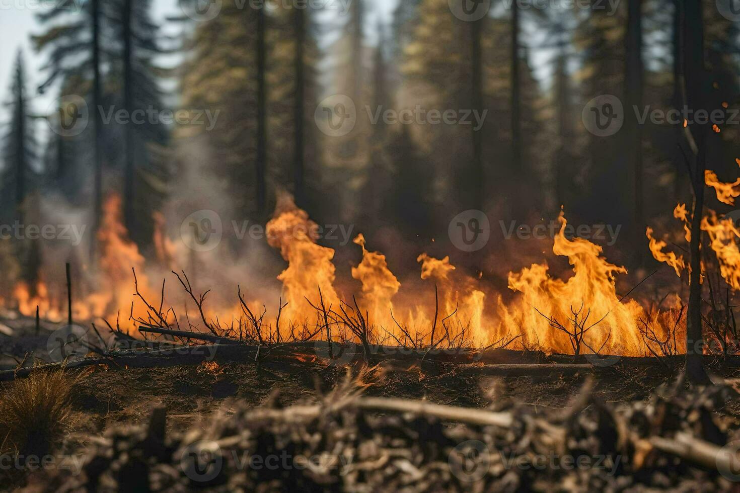 un' foresta fuoco nel il boschi con fiamme e alberi. ai-generato foto