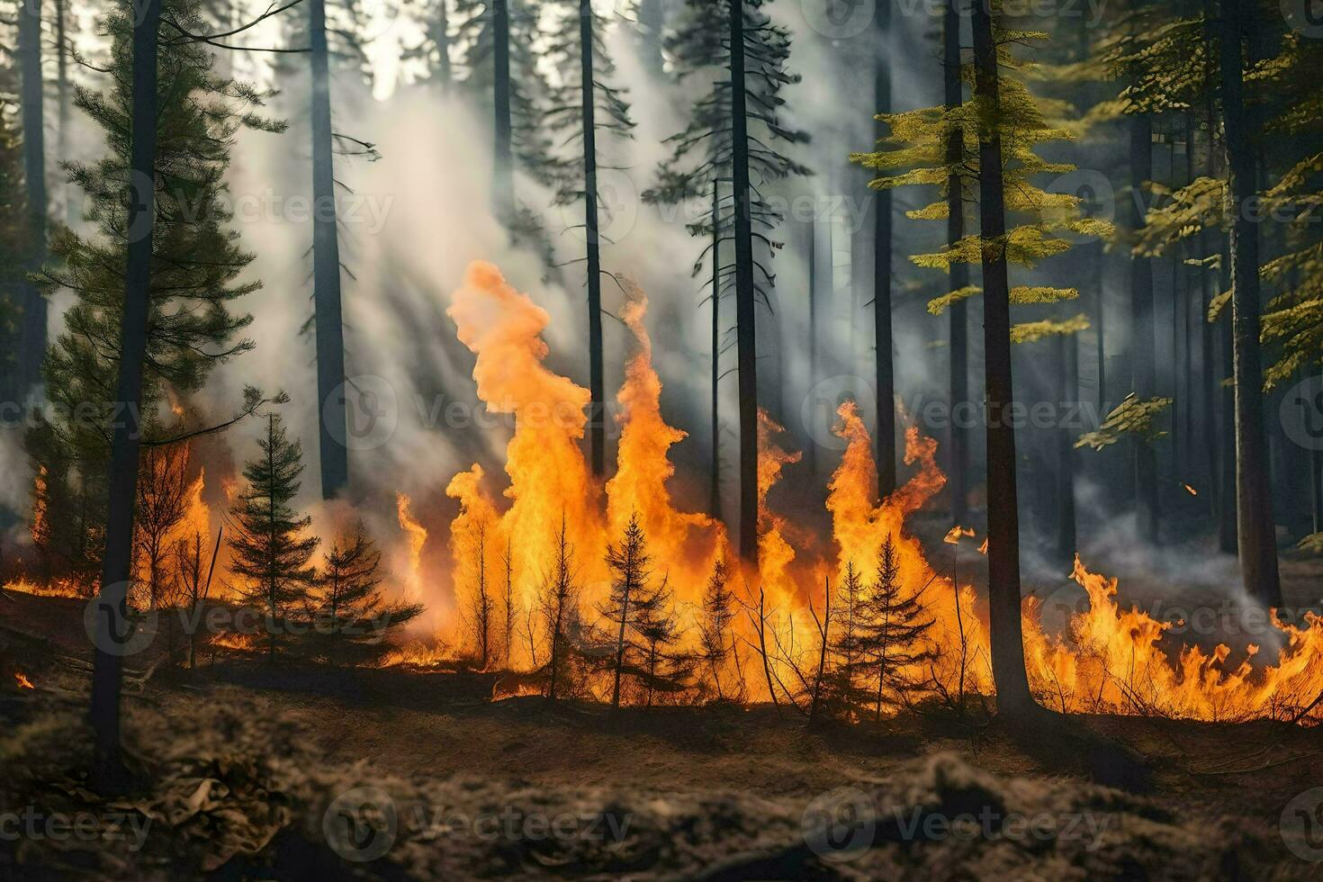 un' foresta fuoco è ardente nel il mezzo di un' foresta. ai-generato foto