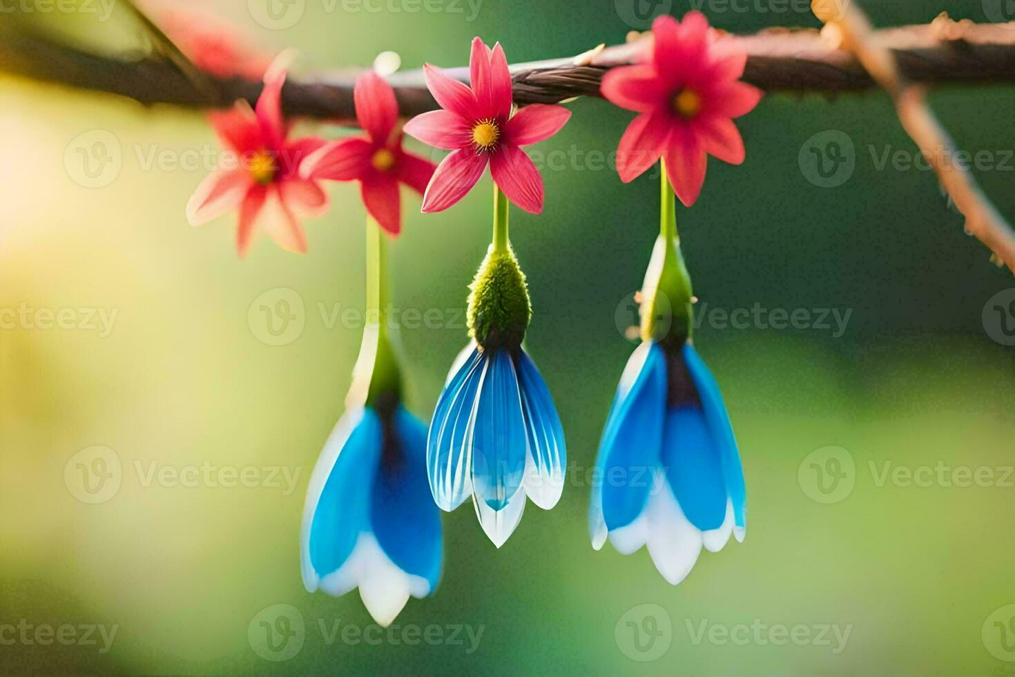 foto sfondo il cielo, fiori, il sole, il fiori, il fiori, il fiori,. ai-generato